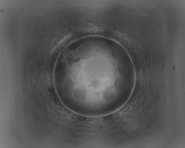 X0000071781205200606301211