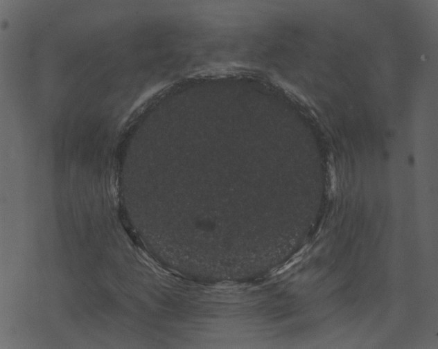 X0000071781206200606301211