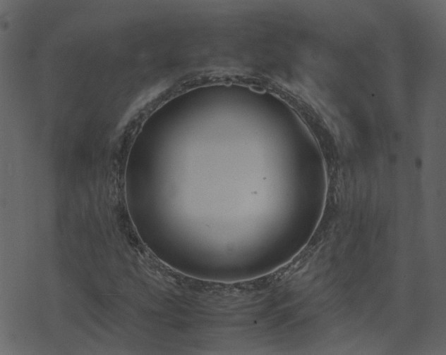 X0000071781207200606301211