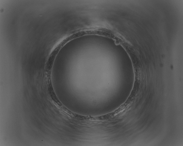 X0000071781208200606301212