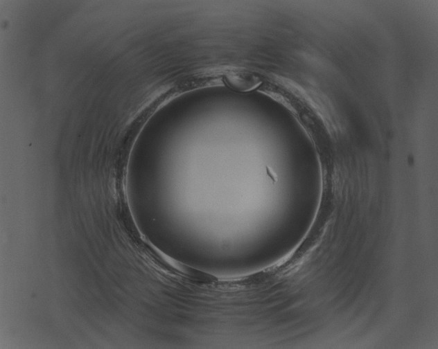 X0000071781209200606301212