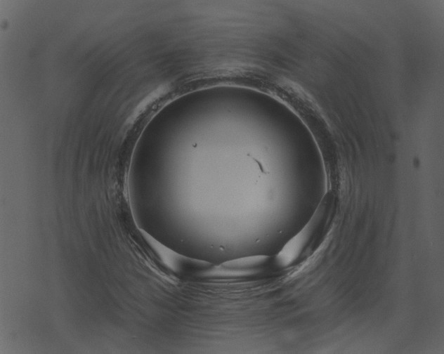 X0000071781210200606301212