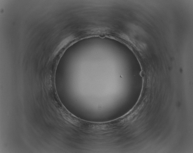 X0000071781211200606301212