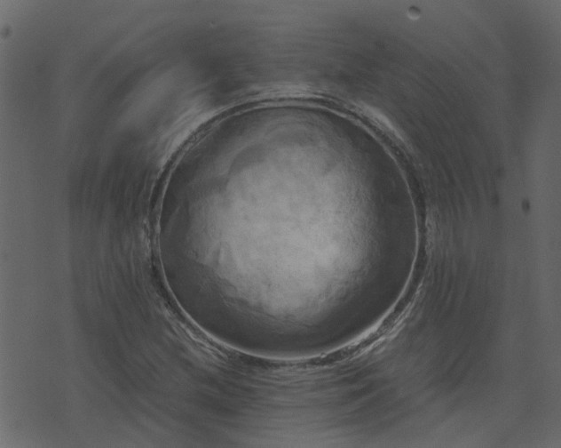 X0000071781212200606301212