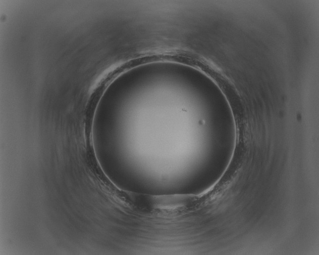 X0000071781214200606301212