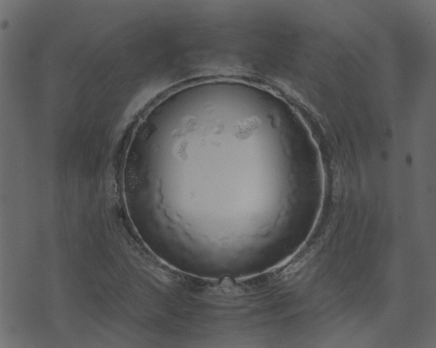 X0000071781215200606301212