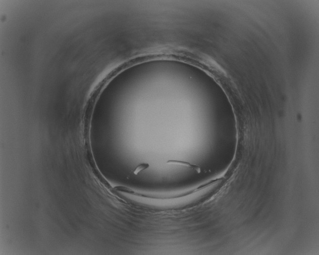 X0000071781216200606301212