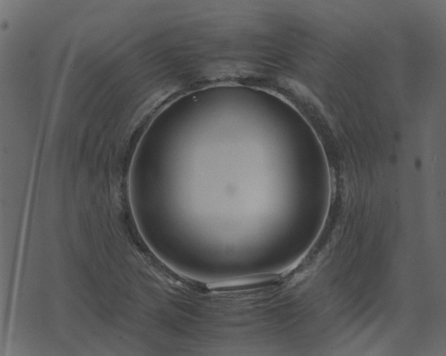 X0000071781217200606301212