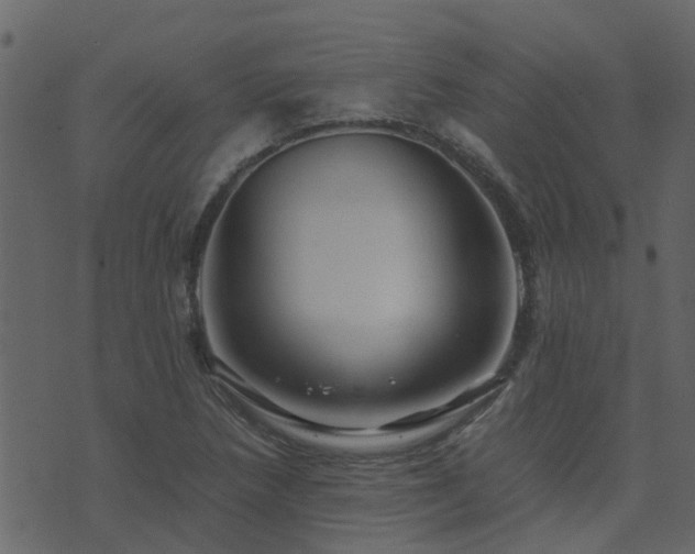 X0000071781218200606301212