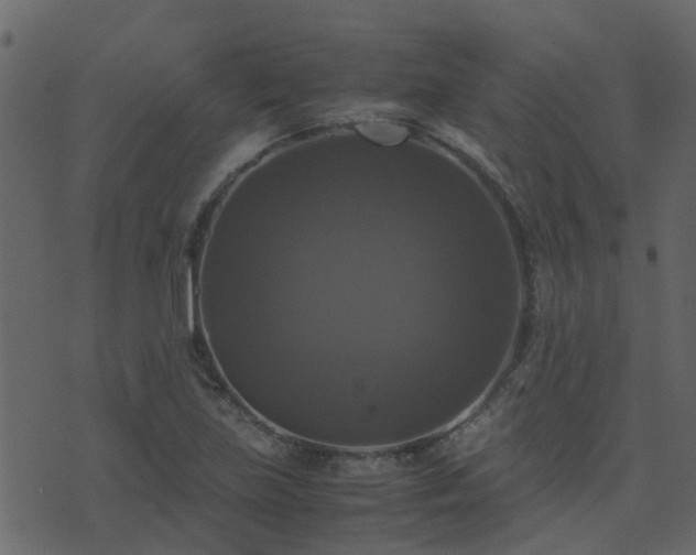 X0000071781219200606301212