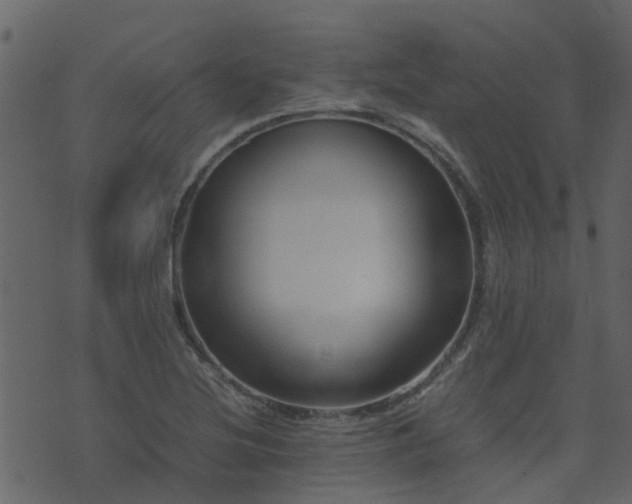 X0000071781220200606301212