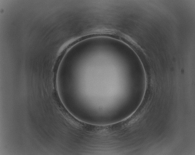 X0000071781222200606301212