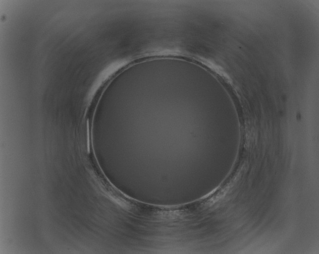 X0000071781223200606301212