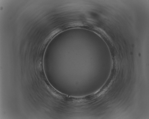 X0000071781225200606301212