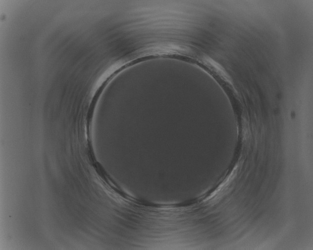 X0000071781226200606301212