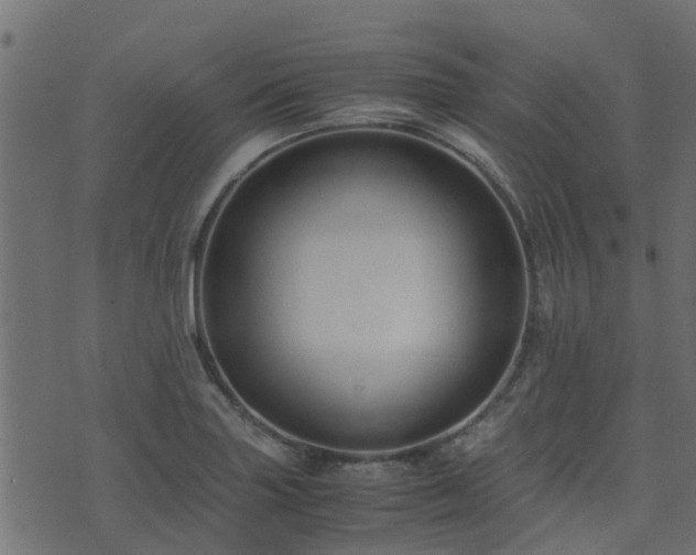 X0000071781227200606301212