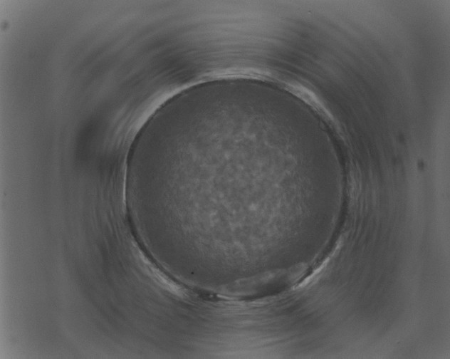 X0000071781228200606301212