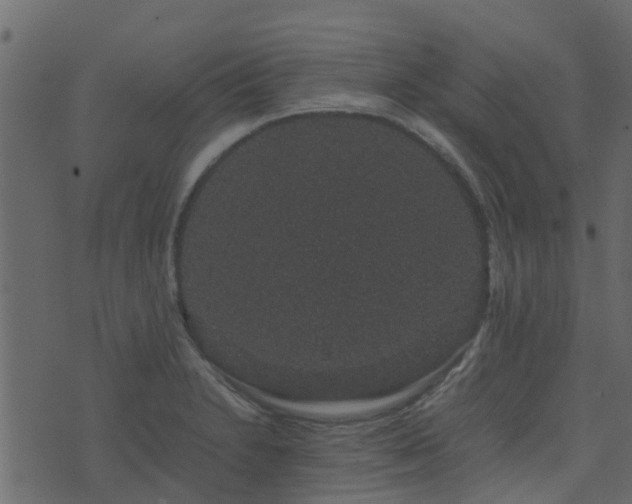 X0000071781230200606301212