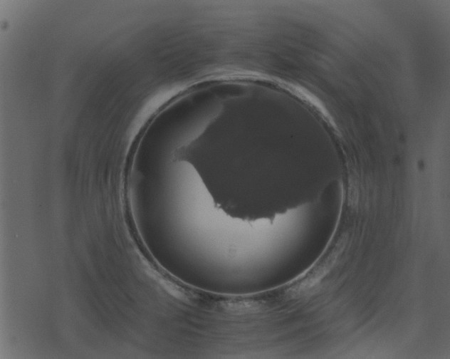 X0000071781231200606301212