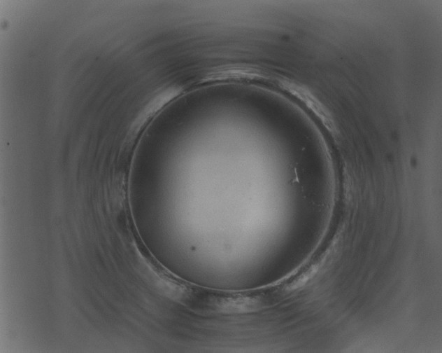 X0000071781233200606301212