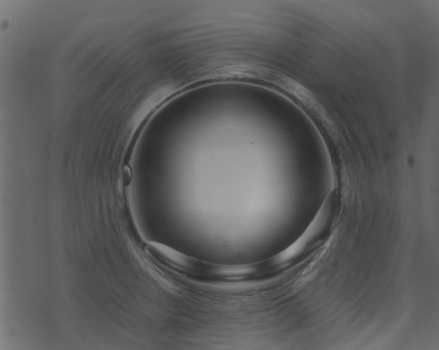 X0000071781234200606301212