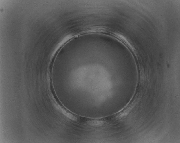 X0000071781235200606301212