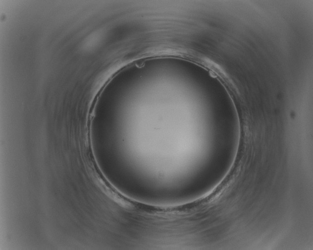 X0000071781236200606301212