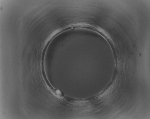 X0000071781237200606301212