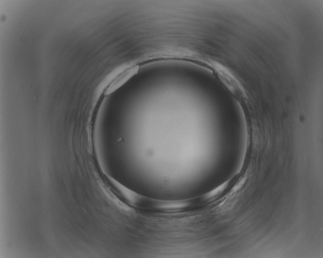 X0000071781238200606301212