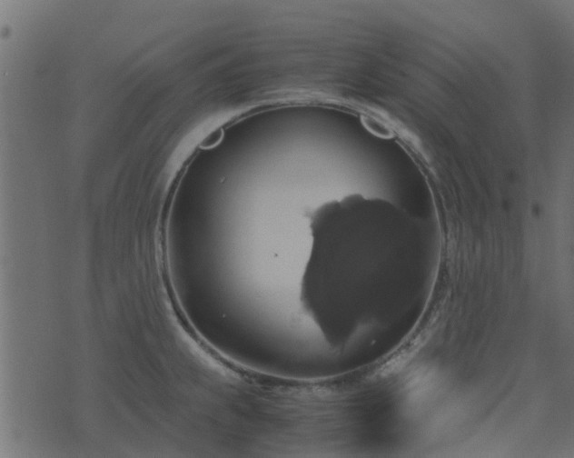 X0000071781239200606301212