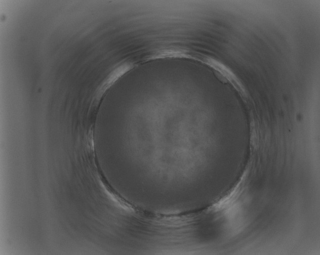 X0000071781241200606301212