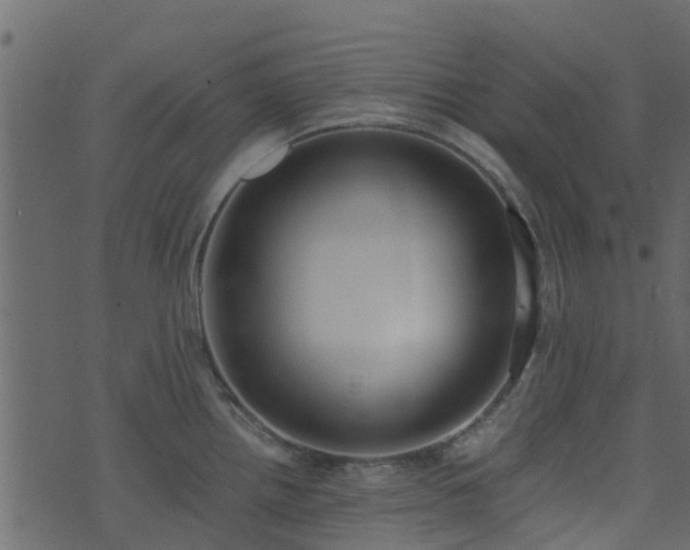 X0000071781242200606301212