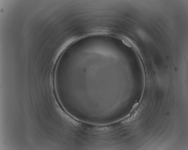 X0000071781243200606301212