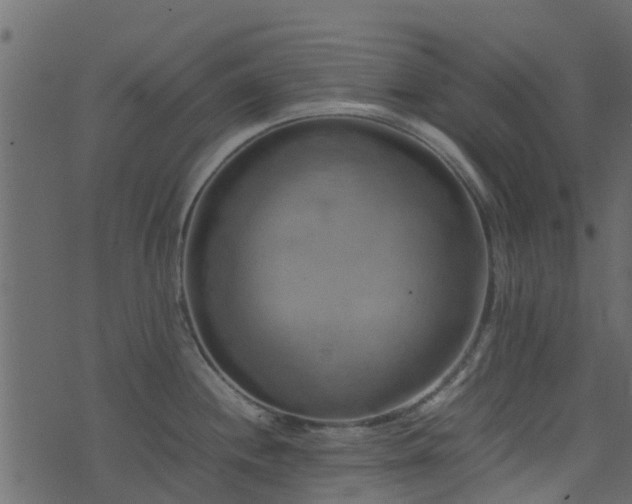 X0000071781244200606301212