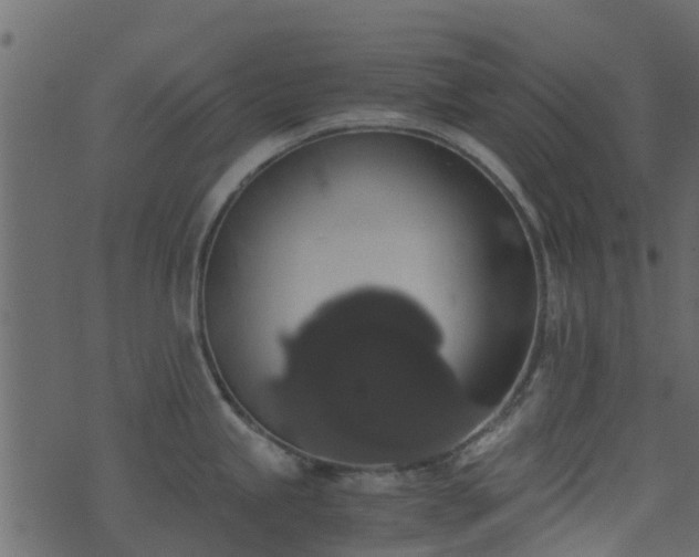 X0000071781245200606301212