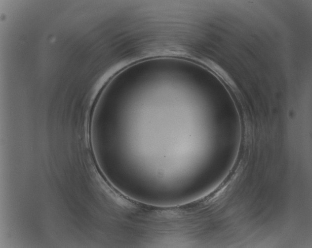 X0000071781246200606301212