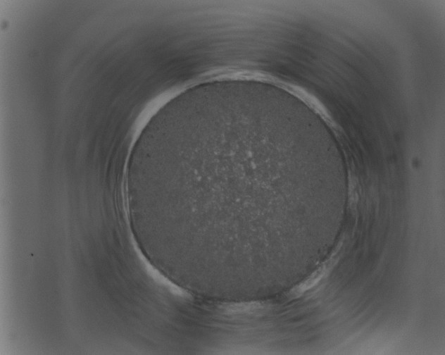 X0000071781247200606301212