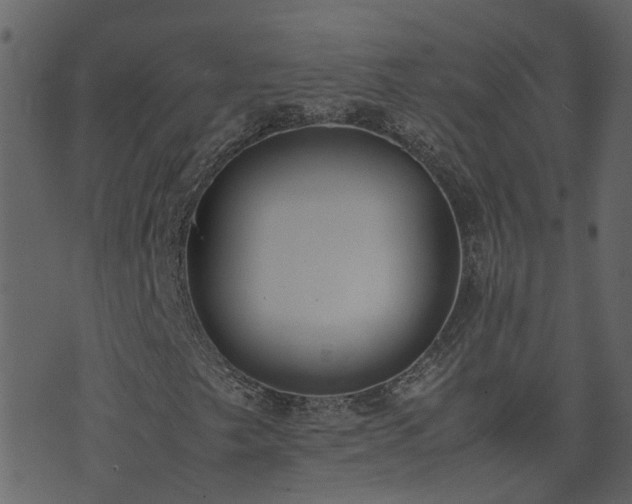 X0000071781249200606301211