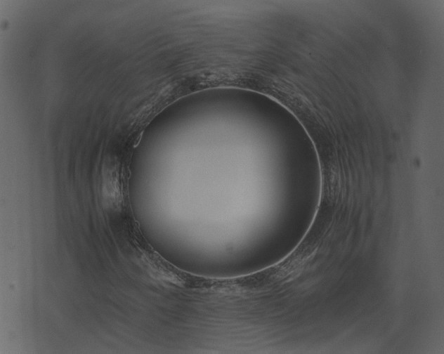 X0000071781250200606301211