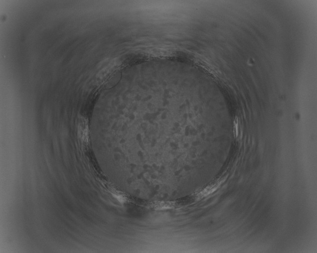 X0000071781251200606301211