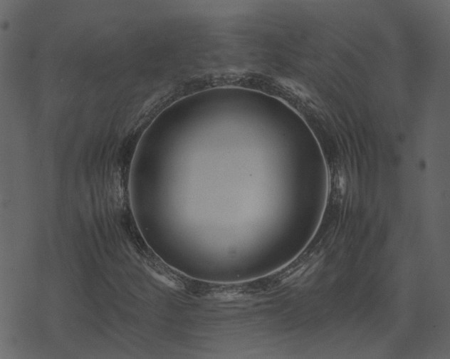 X0000071781252200606301211