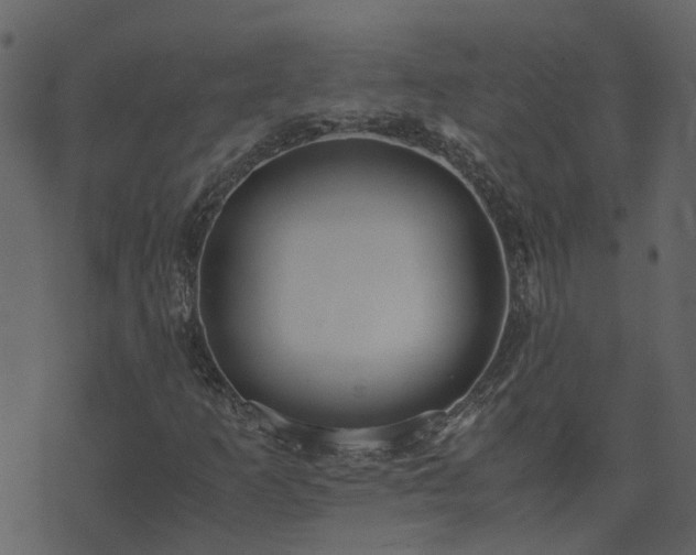 X0000071781253200606301211