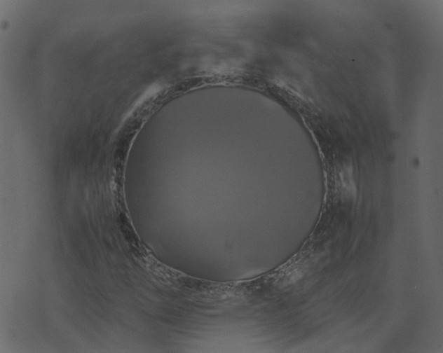 X0000071781254200606301211