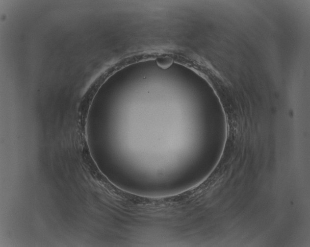 X0000071781256200606301211