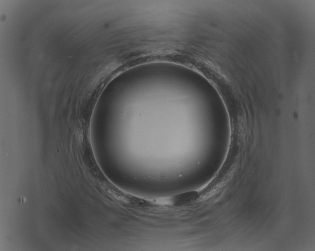 X0000071781257200606301211