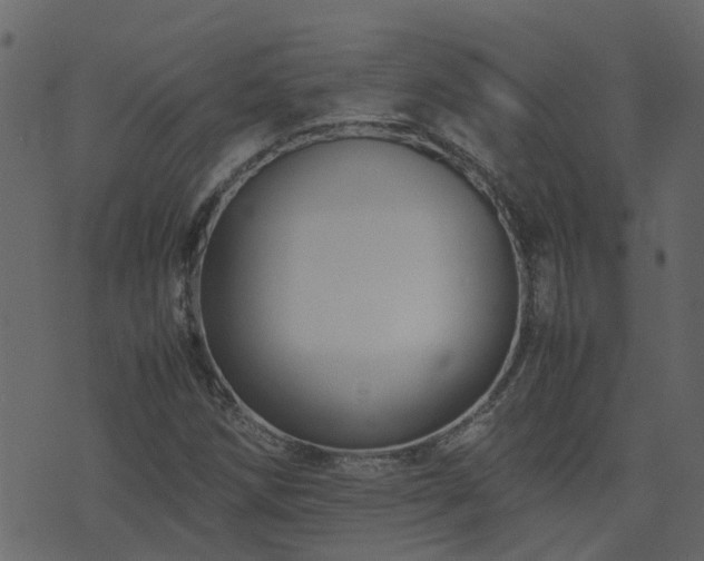 X0000071781258200606301211