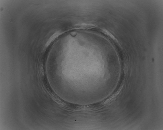 X0000071781259200606301211