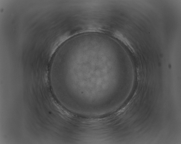 X0000071781260200606301211