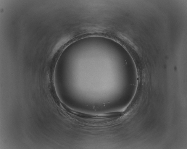 X0000071781261200606301211