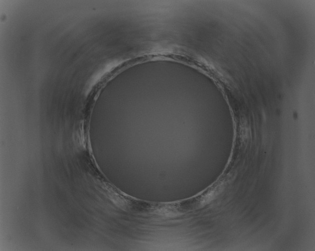 X0000071781262200606301211